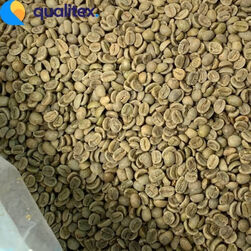 Arabica Coffee Bean - Grade 1