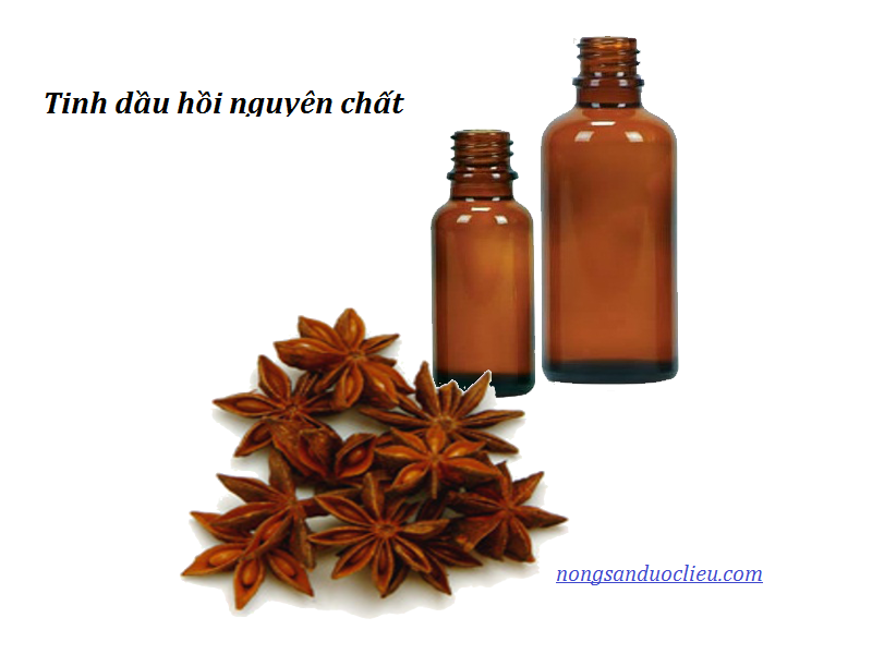 Anise Essential Oil