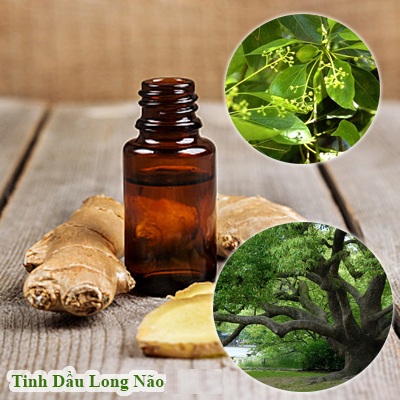 Cinnamomum Camphora Essential Oil
