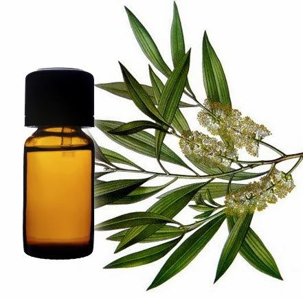 Lemongrass Essential Oil
