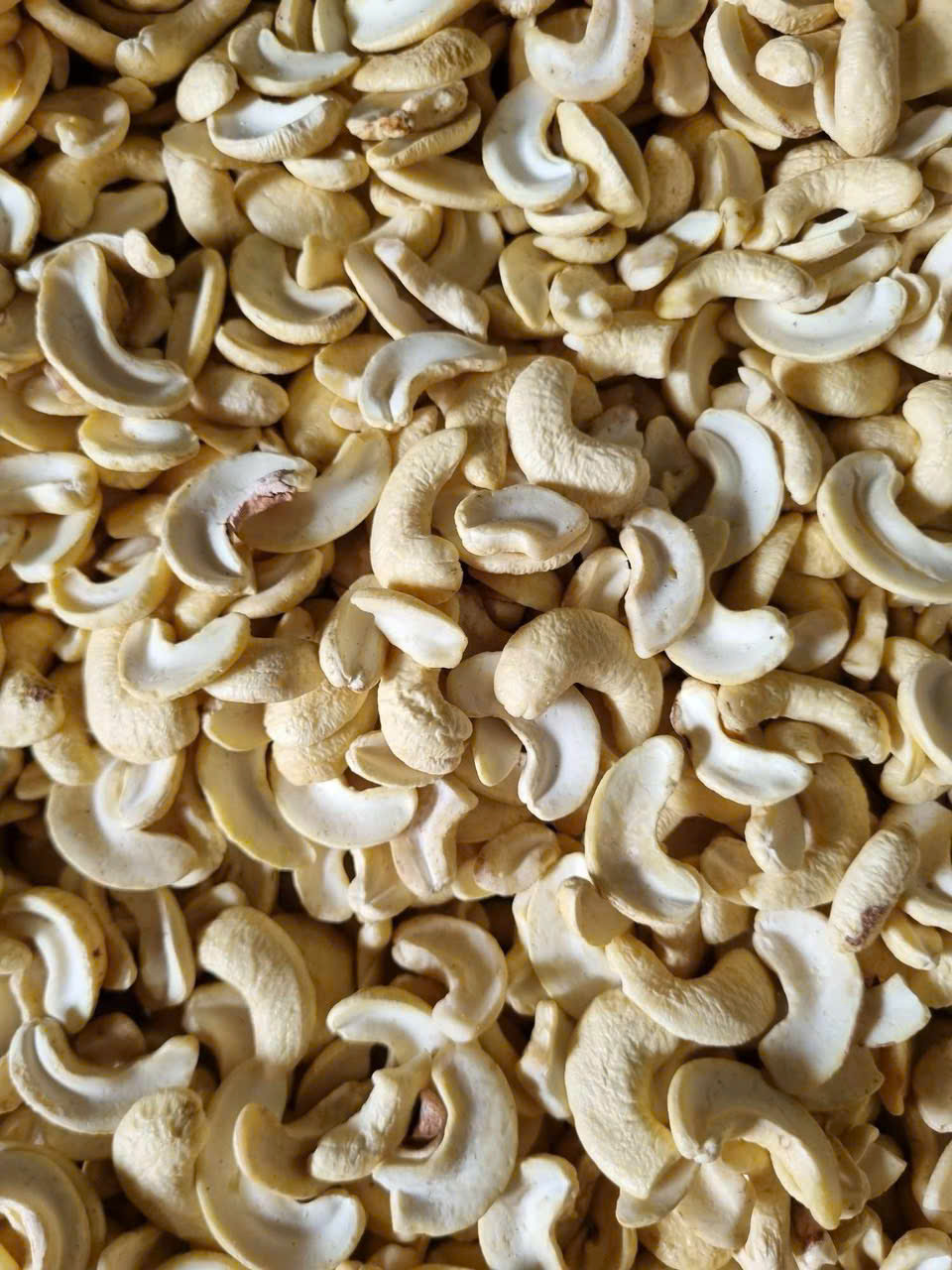 Raw cashew nut kernel split (WS1)