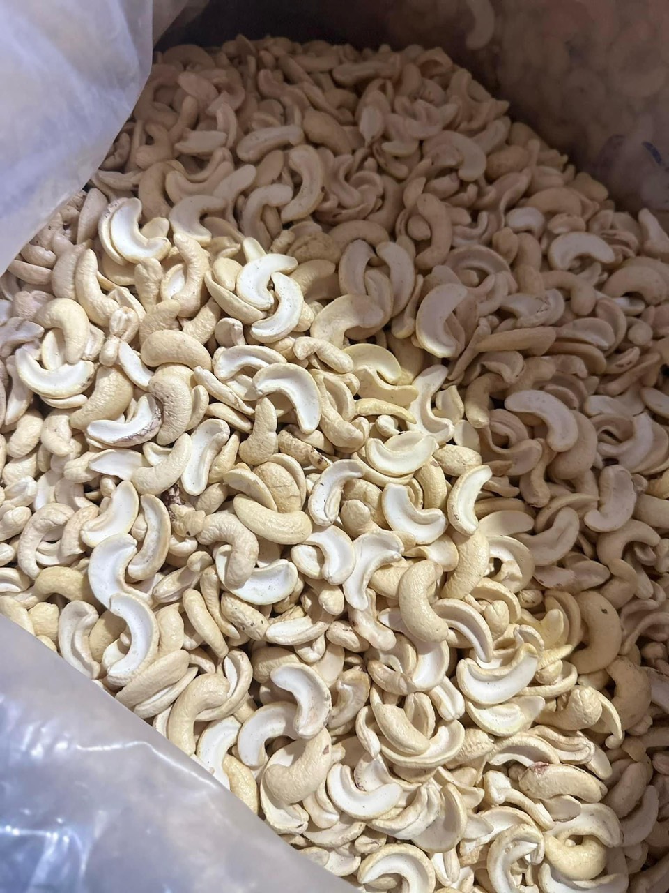 Fresh cashew nut kernel split (WS2)
