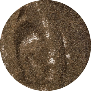 Dust 1 Black Tea