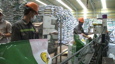 Custom Fertilizer Manufacturing