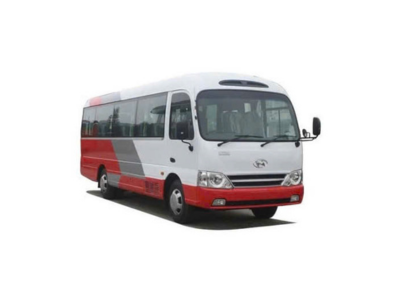 Sleeper Bus Tourist Rental